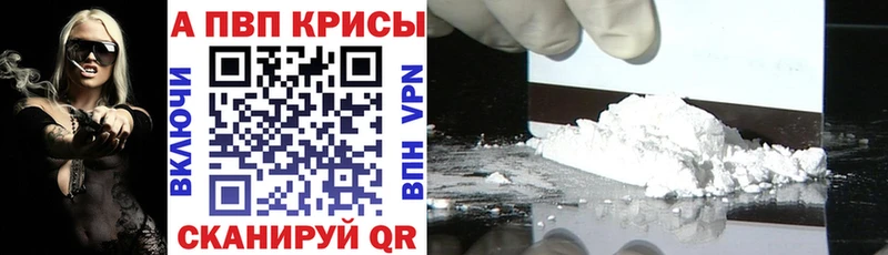 Альфа ПВП СК КРИС  Советск 