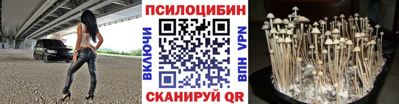 Галлюциногенные грибы Psilocybine cubensis Советск